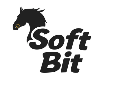 Soft Bit
